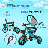 Kidsmate Champ Tricycle with Canopy Kidsmate